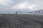 240601d_Bjornhamna_16_D