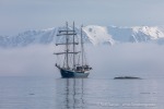 240603a_Hamiltonbukta_086_D