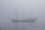 240603a_Hamiltonbukta_122_D