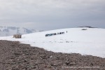 240603c_Alicehamna_06_D