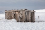240603c_Alicehamna_16_D