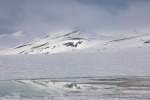 240603c_Alicehamna_39_D