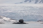 240604b_Fuglefjord_02_D