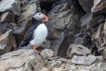 240605c_Fjortende-Julibukta_25_D