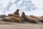 240606b_Sarstangen_33_D