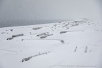 230917b_Smittoya_09_D
