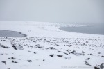 230917b_Smittoya_65_D