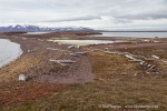 180715c_Andoyane_12_D