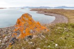 180805c_Andoyane_128_D
