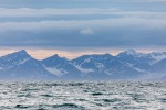 240701b_Isfjord_05_D