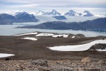 240703b_Blomstrand_49_D