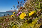 240704a_Fjortende-Julibukta_178_D