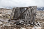 240705a_Danskeneset_10_D