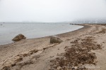 240705a_Danskeneset_33_D