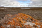 240706a_Sordalsbukta_137_D