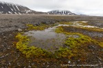 240706b_Grahuken_54_D