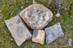 240712b_Buedelfjellet_078_D