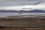 240712e_Isbjornodden_047_D