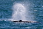 240713a_Storfjord_24_D