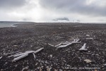 240713b_Isbukta_02_D