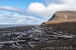 240713b_Isbukta_24_D