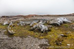 240714_Gaashamna_36_D