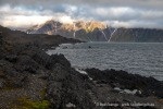 240715b_Akseloya_44_D