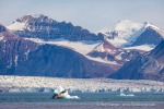 240702c_Ny-Alesund_012_D