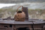 240703b_Blomstrand_06_D