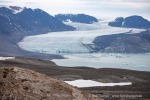 240703b_Blomstrand_36_D