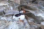 240704a_Fjortende-Julibukta_038_D