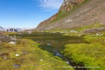 240704a_Fjortende-Julibukta_096_D