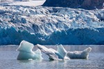240704a_Fjortende-Julibukta_225_D