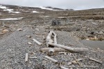 240705a_Danskeneset_01_D