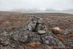 240705a_Danskeneset_29_D