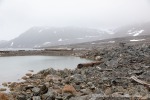 240705a_Danskeneset_66_D