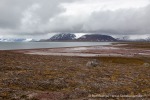 240706a_Sordalsbukta_023_D