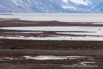 240706a_Sordalsbukta_155_D