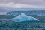240711b_Braasvellbreen_03_D