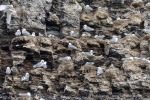 240712b_Buedelfjellet_101_D