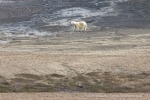 240712d_Skarpryttaren_04_D