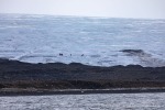 240713b_Isbukta_15_D
