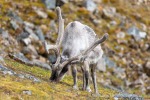 240716d_Sundhogda_03_D
