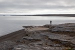 240717a_Tundraodden_041_D