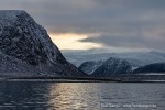 210914c_Phippsoya_23_D