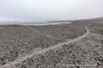 220811b_Phippsoya_29_D