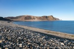 230903a_Phippsoya_021_D