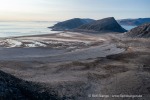 230903a_Phippsoya_059_D