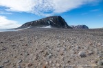 240709a_Phippsoya_075_D