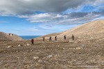 240809_Blomstrandhalvoya_24_D